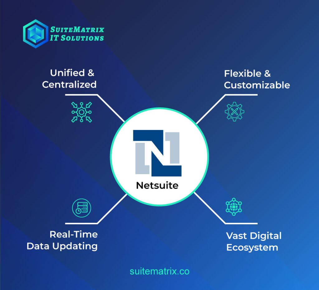 NetSuite management platform